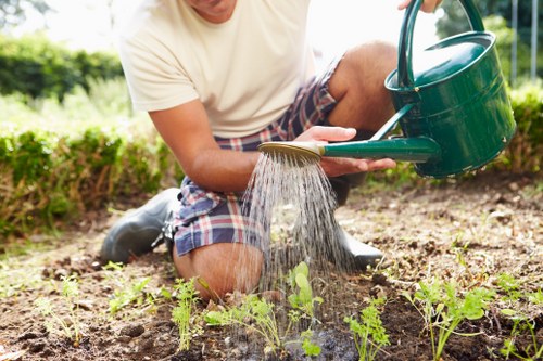Professional tree pruning work in a residential garden