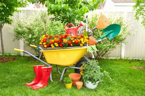 Tree pruning service suitable for homes and businesses in Sutton