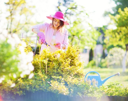 Professional discussing a resolved tree care complaint