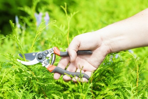 Professional tree surgeons maintaining safe, controlled work practices
