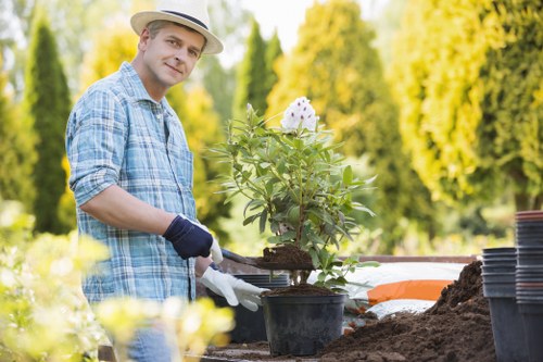 Hedge maintenance and clipping removal for a garden property in Sutton